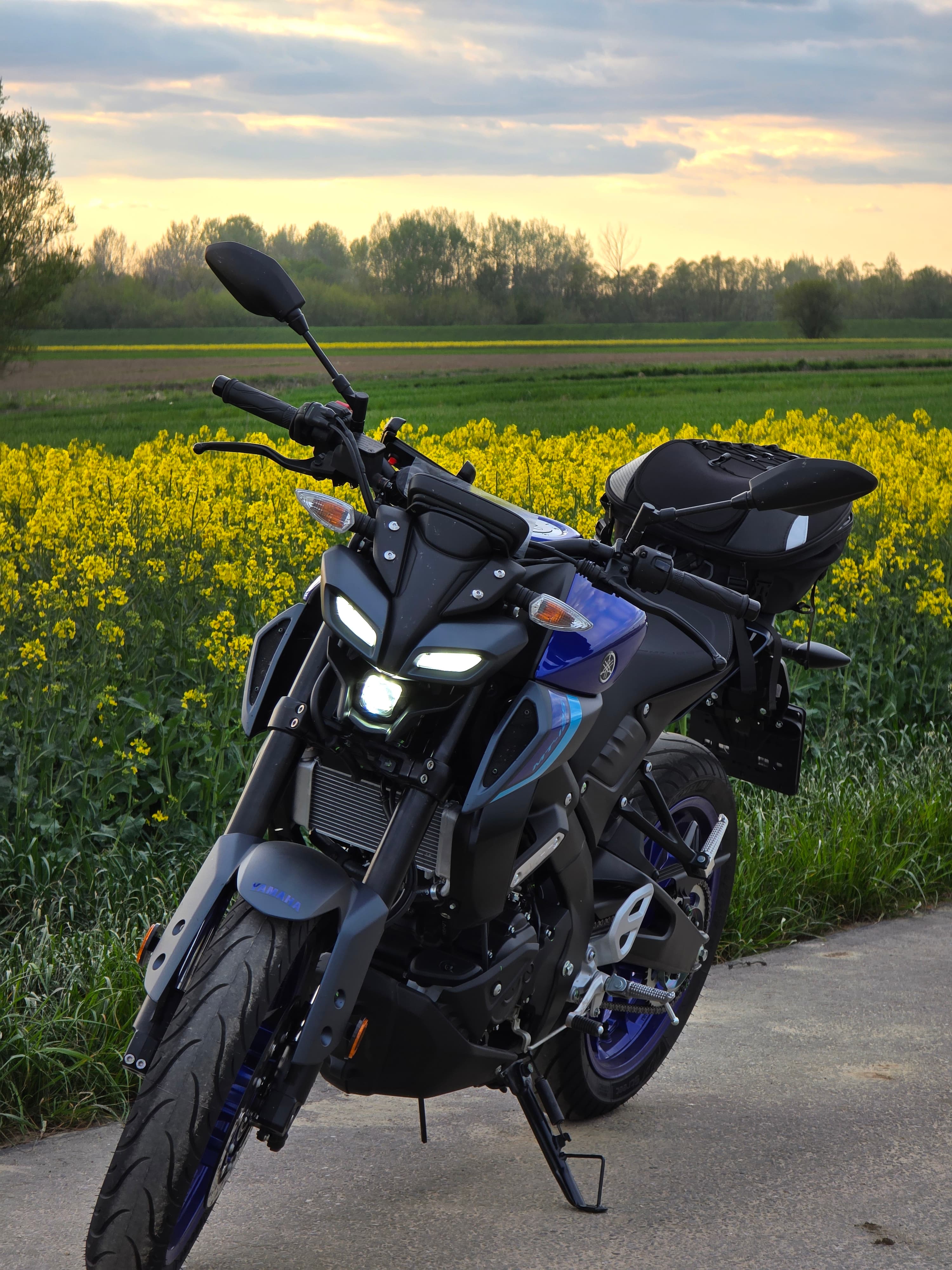 Yamaha MT-125 2026 — wypożyczalnia motocykli Kraków — zdjęcie 2