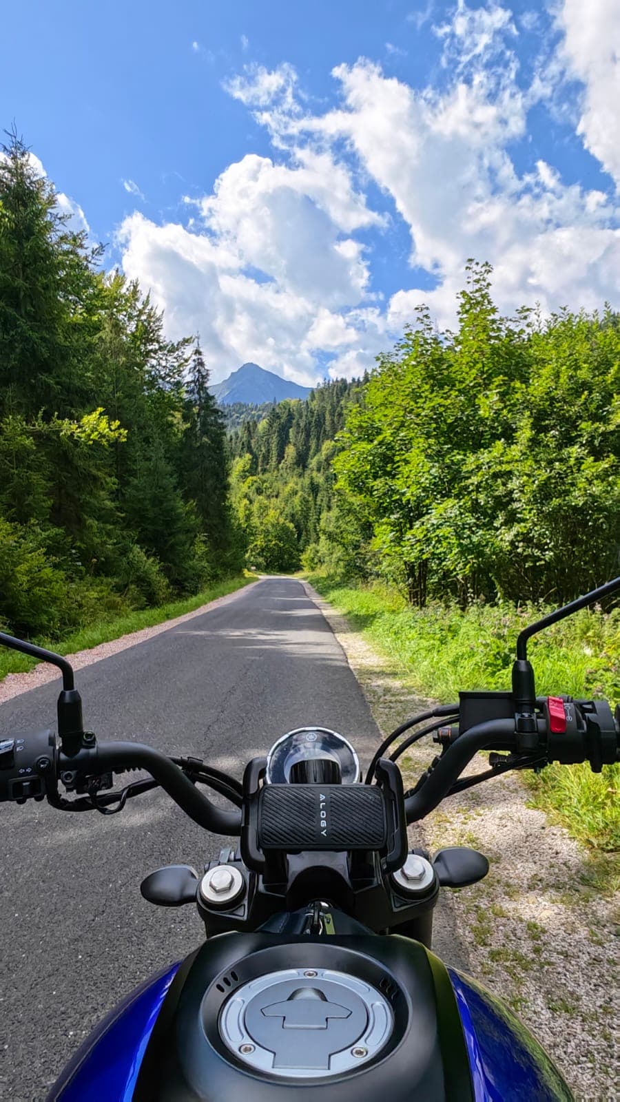 Yamaha XSR125  — wypożyczalnia motocykli Kraków — zdjęcie 5
