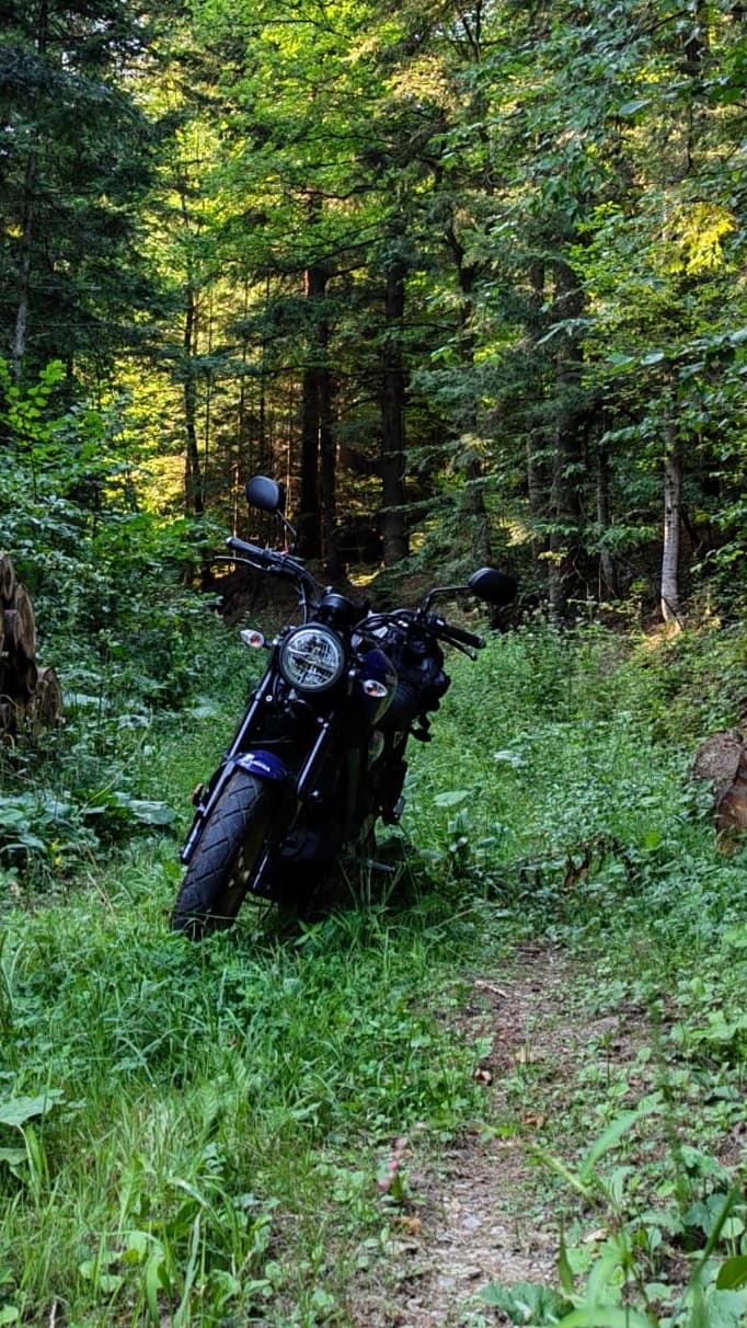 Yamaha XSR125  — wypożyczalnia motocykli Kraków — zdjęcie 6